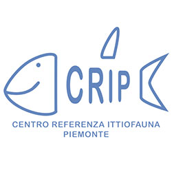Logo Centro di Referenza Ittiofauna Piemonte - CRIP