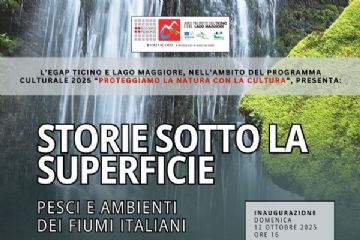 storie sotto la superficie